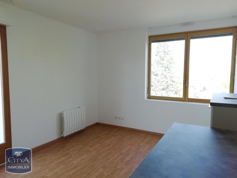 Photo 4 appartement Chinon