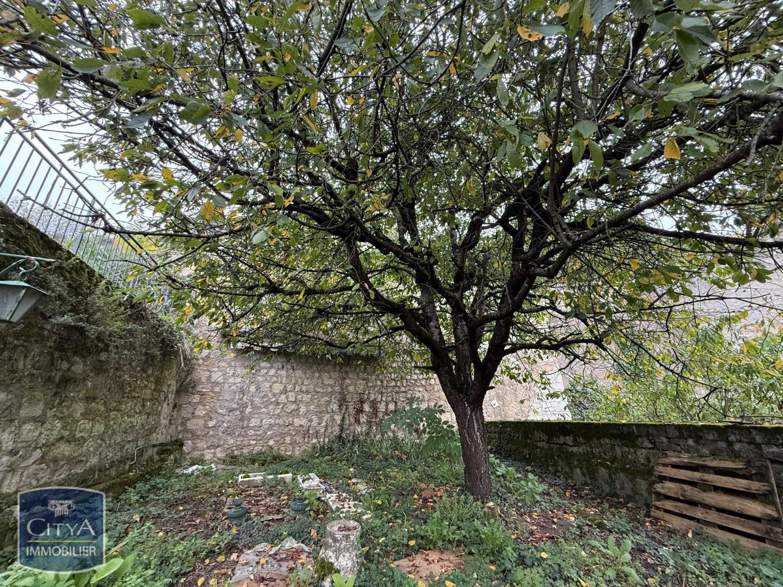 Photo 1 maison Chinon