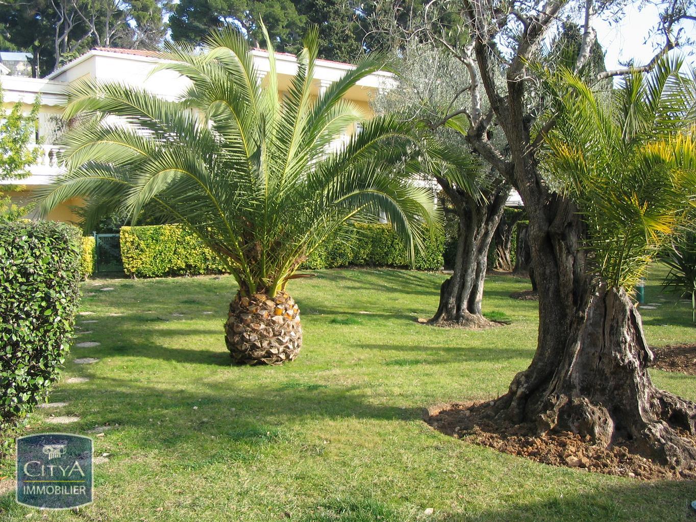 Photo 3 appartement Cannes