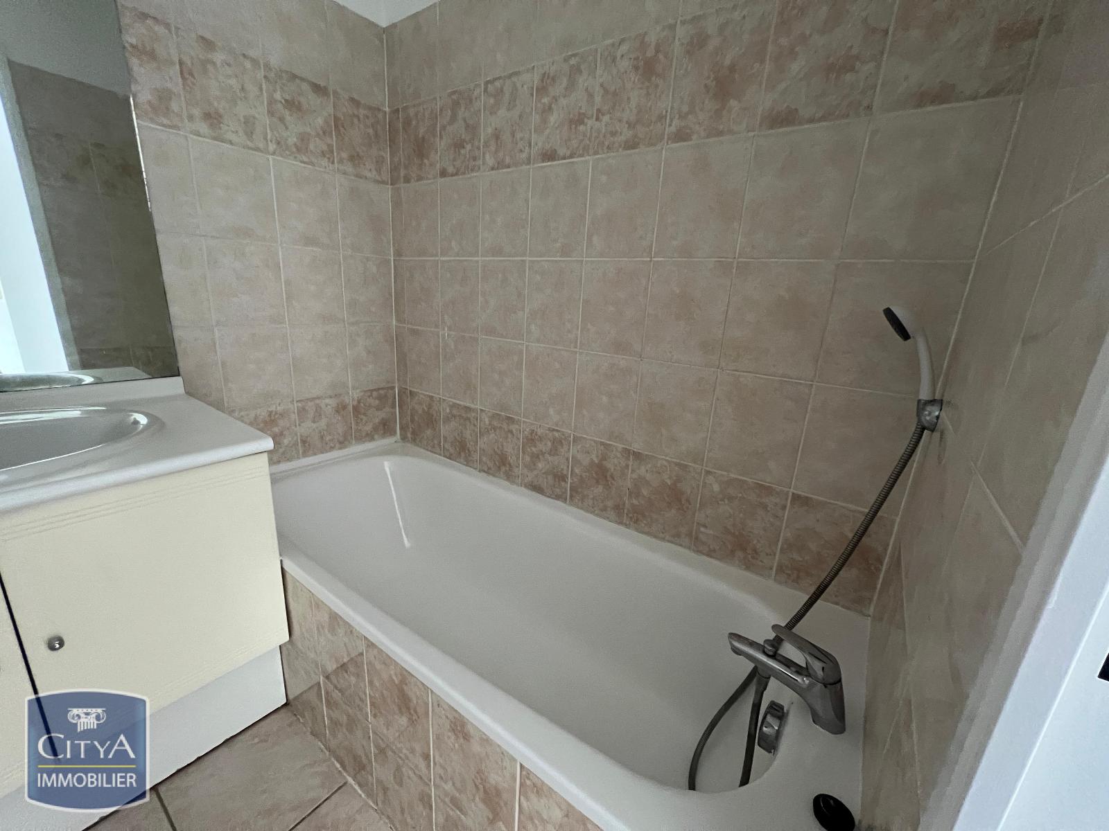 GRENOBLE APPARTEMENT BAIGNOIRE