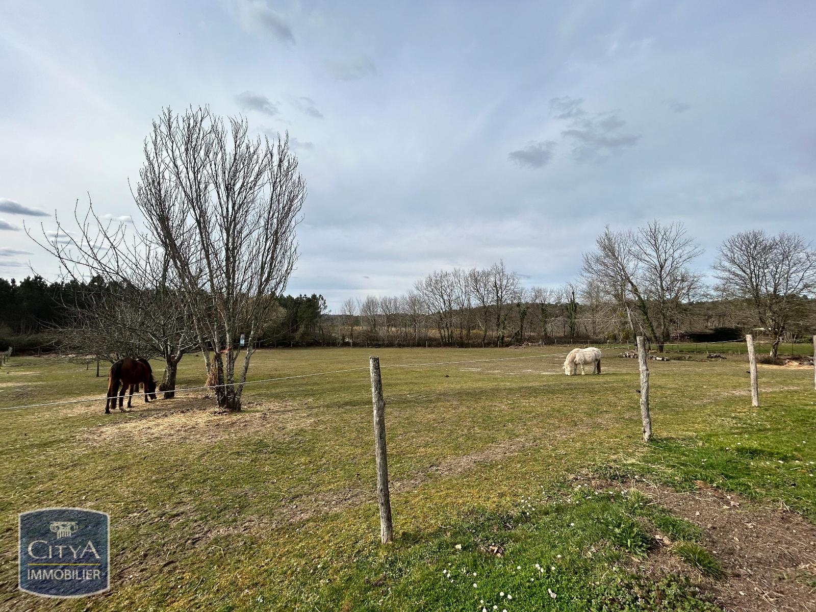 Photo 3 maison Eyraud-Crempse-Maurens