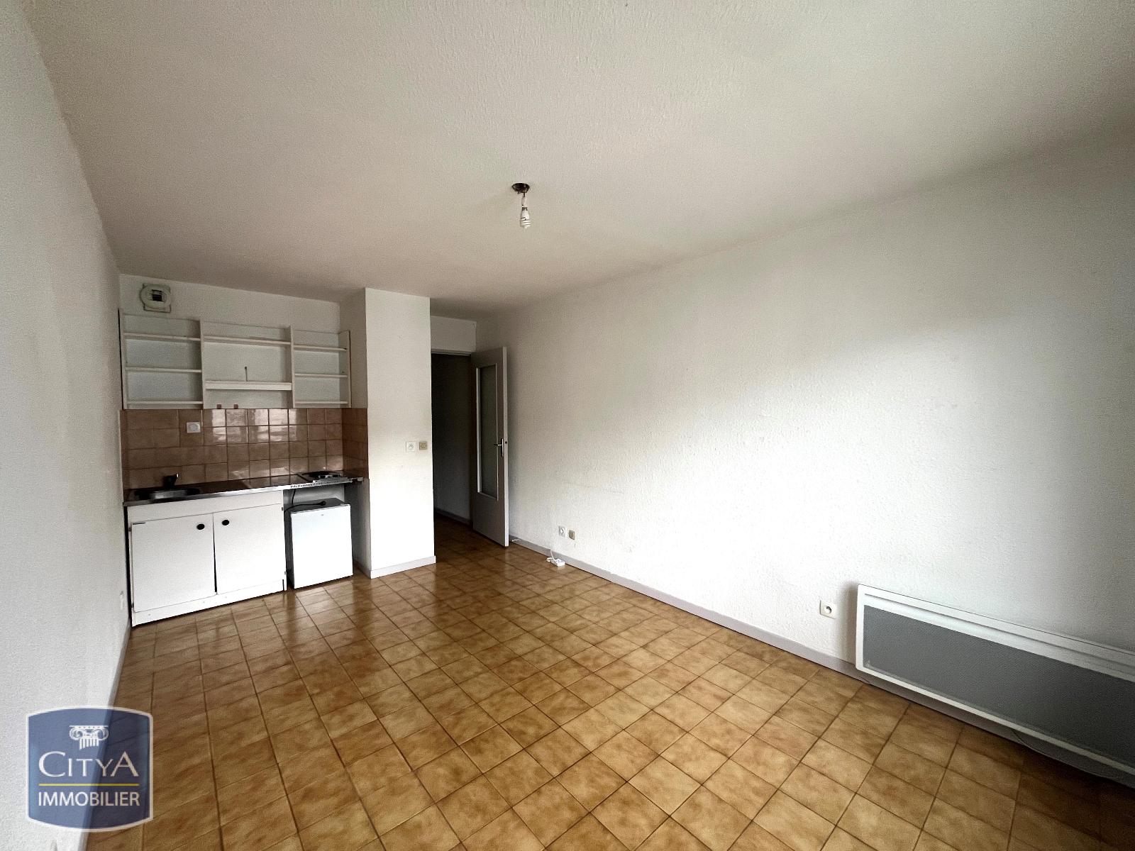 Photo 3 appartement Grenoble